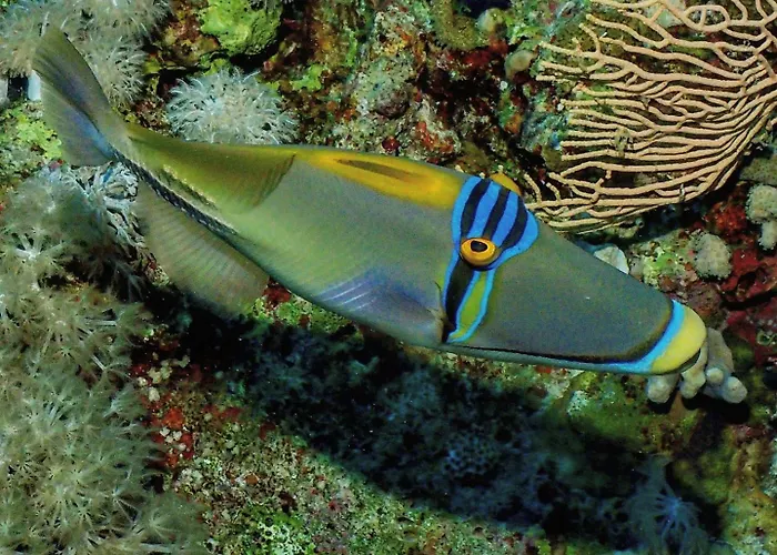 Enosis - Triton Panoramic Sea View *